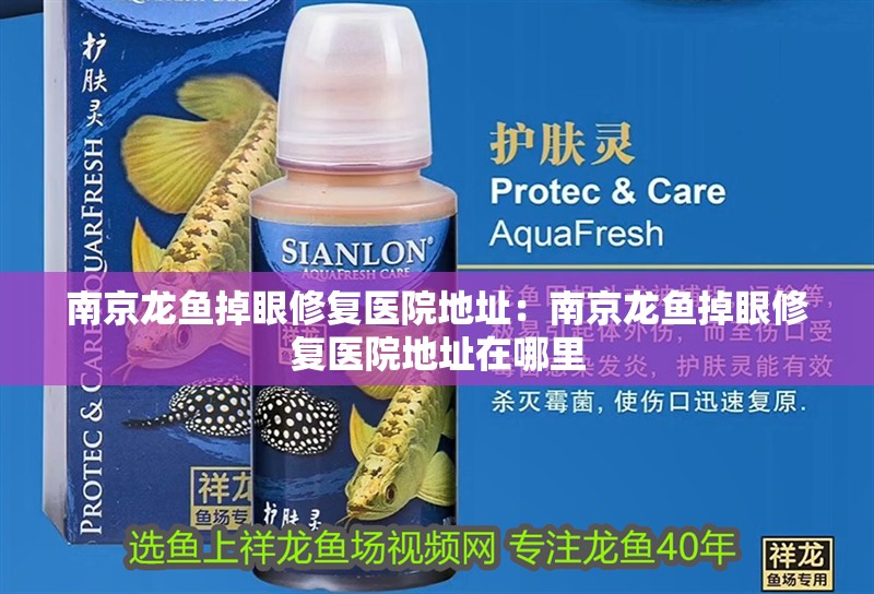 南京龍魚掉眼修復(fù)醫(yī)院地址：南京龍魚掉眼修復(fù)醫(yī)院地址在哪里