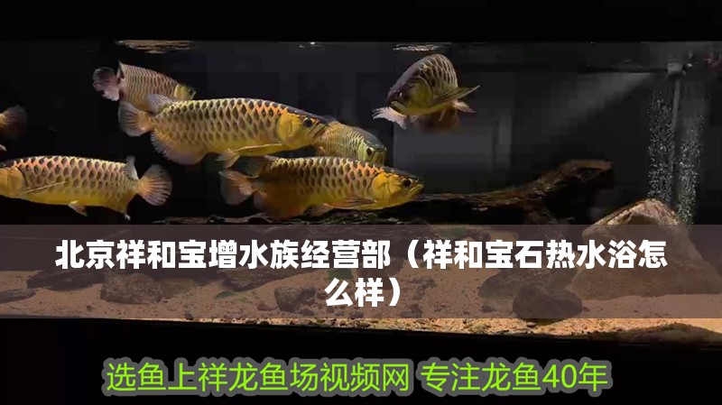 北京祥和寶增水族經(jīng)營部（祥和寶石熱水浴怎么樣）