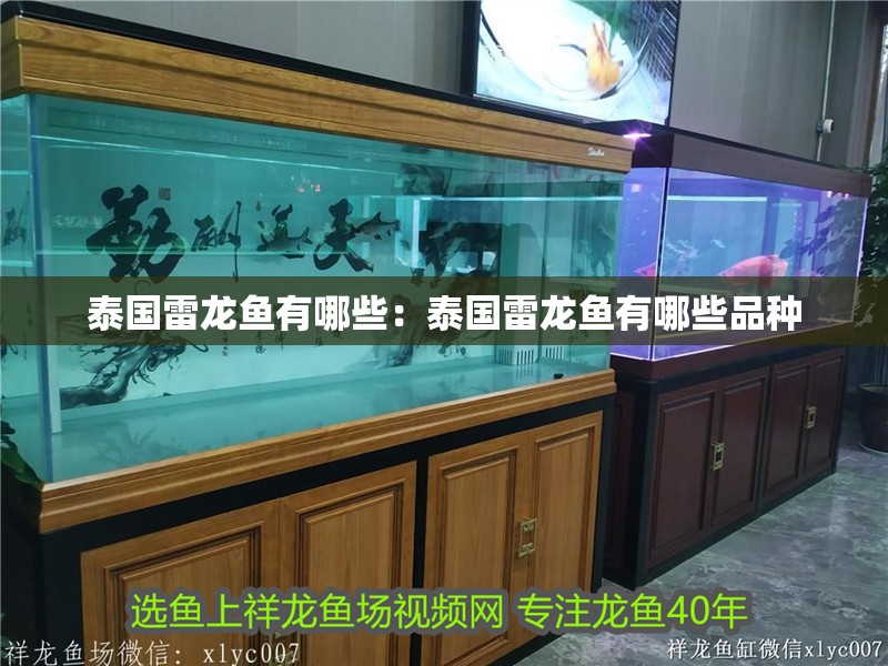 泰國雷龍魚有哪些：泰國雷龍魚有哪些品種