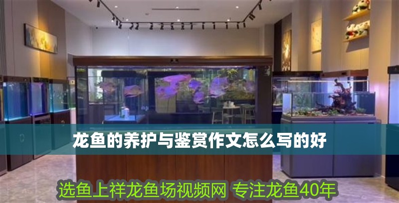 龍魚的養護與鑒賞作文怎么寫的好