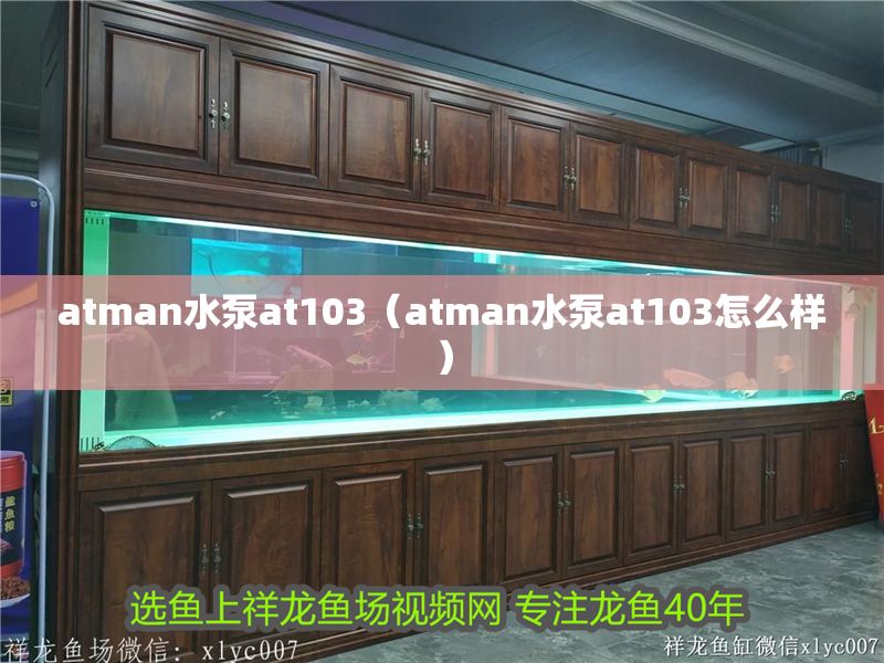 atman水泵at103（atman水泵at103怎么樣）