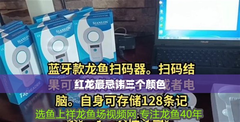 紅龍最忌諱三個顏色