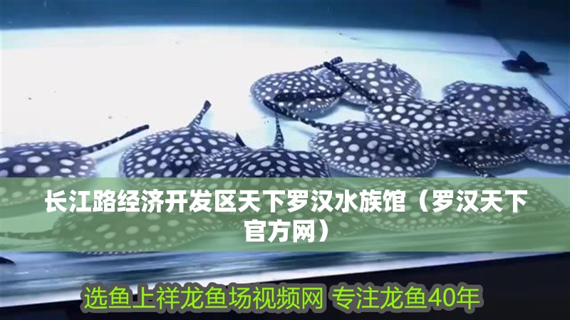 長江路經濟開發區天下羅漢水族館（羅漢天下官方網）