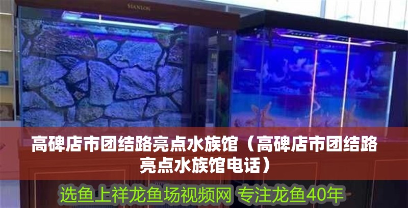 高碑店市團結路亮點水族館（高碑店市團結路亮點水族館電話）