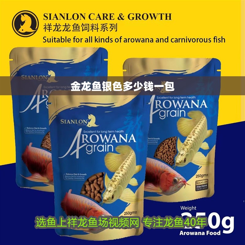 敞開式生態魚缸造景圖：敞開式生態魚缸造景