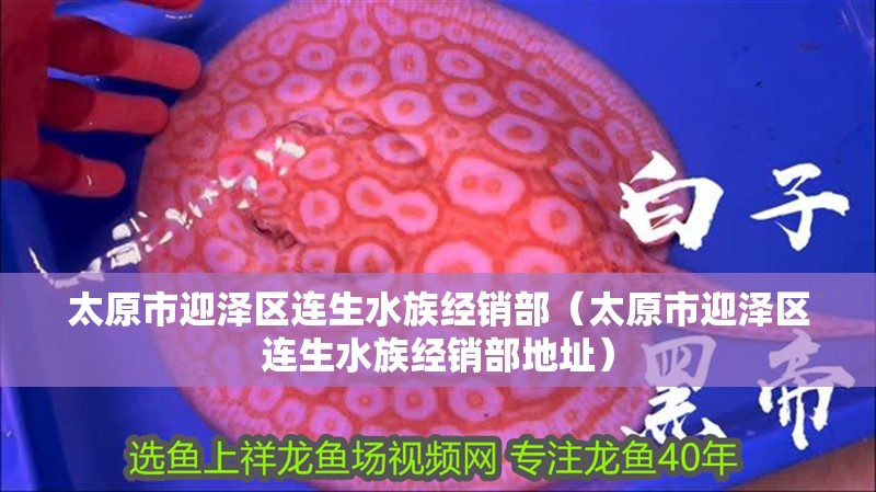 太原市迎澤區連生水族經銷部（太原市迎澤區連生水族經銷部地址）