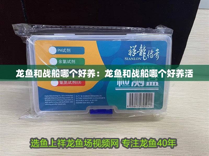 龍魚和戰(zhàn)船哪個好養(yǎng)：龍魚和戰(zhàn)船哪個好養(yǎng)活