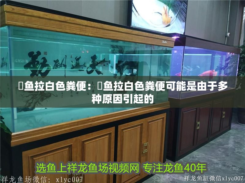 魟魚拉白色糞便：魟魚拉白色糞便可能是由于多種原因引起的