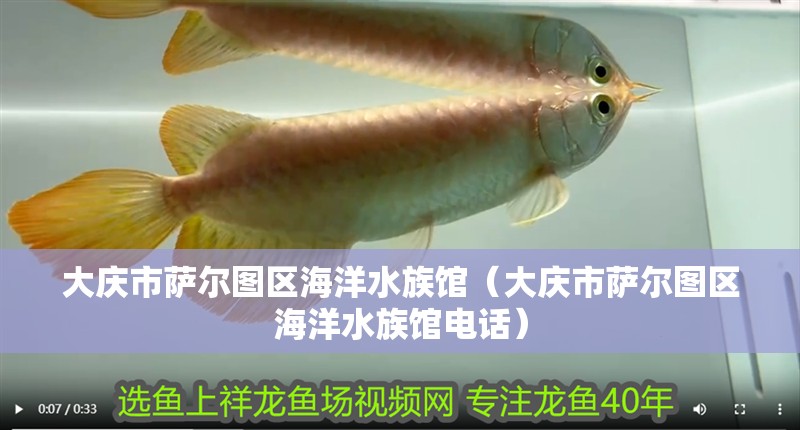 大慶市薩爾圖區(qū)海洋水族館（大慶市薩爾圖區(qū)海洋水族館電話）