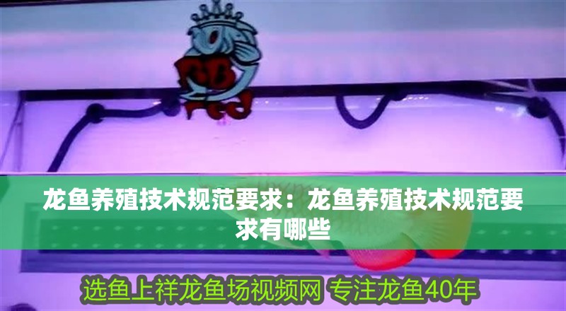 龍魚養(yǎng)殖技術(shù)規(guī)范要求：龍魚養(yǎng)殖技術(shù)規(guī)范要求有哪些