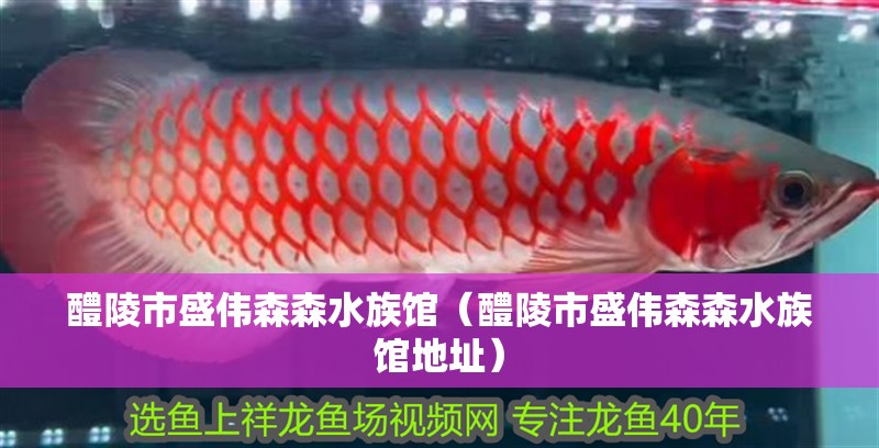 醴陵市盛偉森森水族館（醴陵市盛偉森森水族館地址）