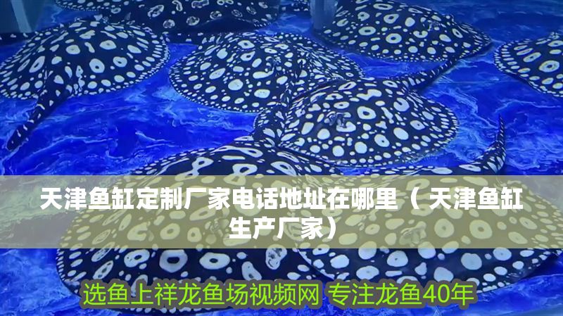 天津魚缸定制廠家電話地址在哪里（ 天津魚缸生產(chǎn)廠家）