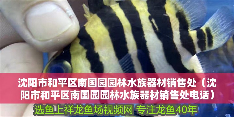 沈陽市和平區(qū)南國園園林水族器材銷售處（沈陽市和平區(qū)南國園園林水族器材銷售處電話）