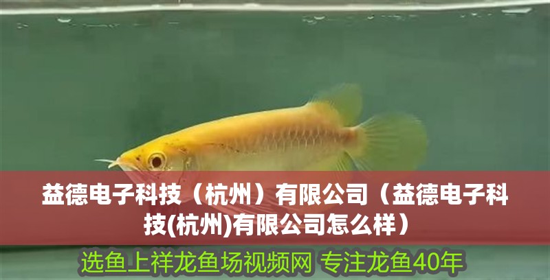 益德電子科技（杭州）有限公司（益德電子科技(杭州)有限公司怎么樣）