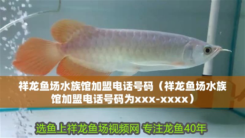 祥龍魚場水族館加盟電話號碼（祥龍魚場水族館加盟電話號碼為xxx-xxxx）