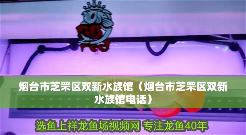 煙臺市芝罘區雙新水族館（煙臺市芝罘區雙新水族館電話）