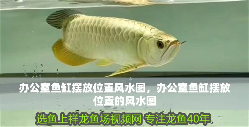 辦公室魚缸擺放位置風(fēng)水圖，辦公室魚缸擺放位置的風(fēng)水圖