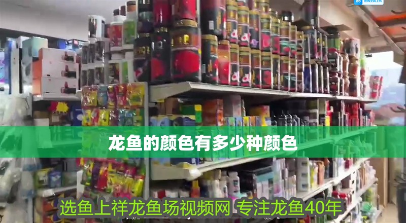 龍魚的顏色有多少種顏色
