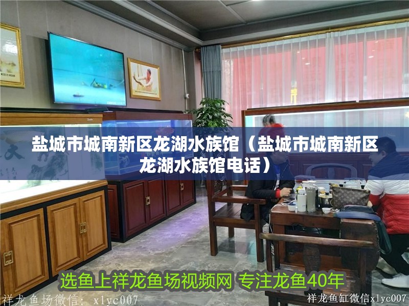 鹽城市城南新區龍湖水族館（鹽城市城南新區龍湖水族館電話）