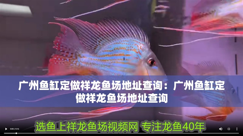 廣州魚缸定做祥龍魚場地址查詢：廣州魚缸定做祥龍魚場地址查詢