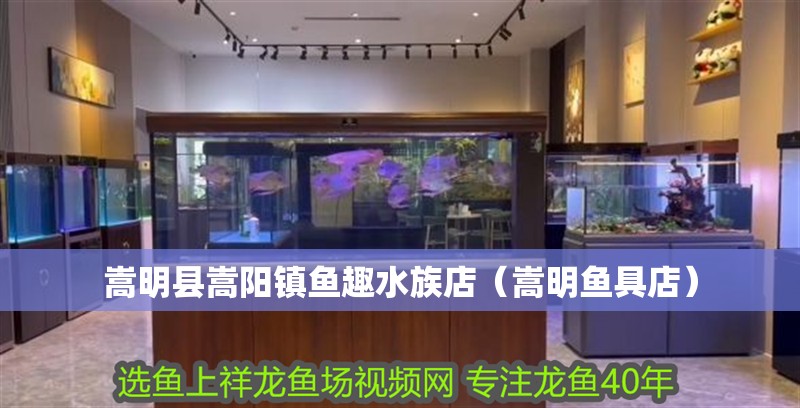 嵩明縣嵩陽鎮魚趣水族店（嵩明魚具店）