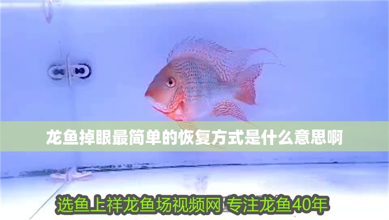 龍魚掉眼最簡單的恢復方式是什么意思啊