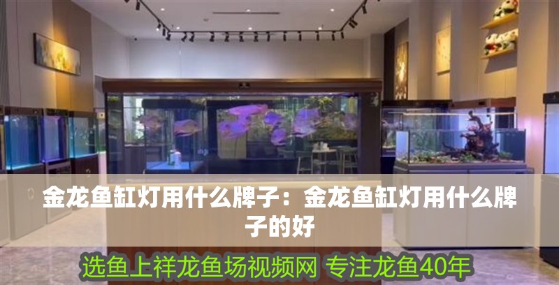 金龍魚缸燈用什么牌子：金龍魚缸燈用什么牌子的好