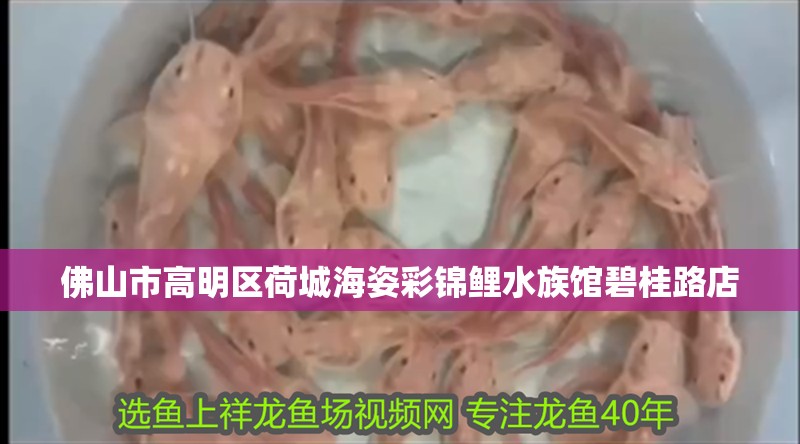 榆林市榆陽區宇濤商貿有限責任公司