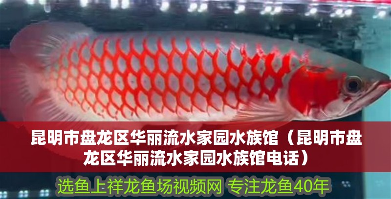 昆明市盤龍區華麗流水家園水族館（昆明市盤龍區華麗流水家園水族館電話）
