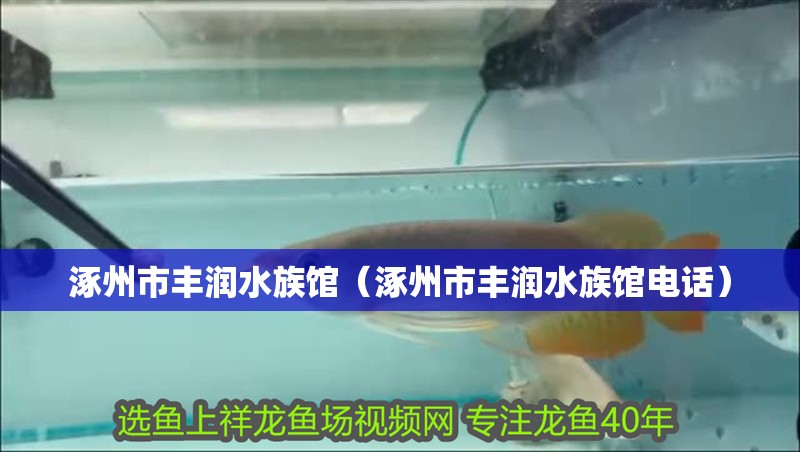 涿州市豐潤水族館（涿州市豐潤水族館電話）