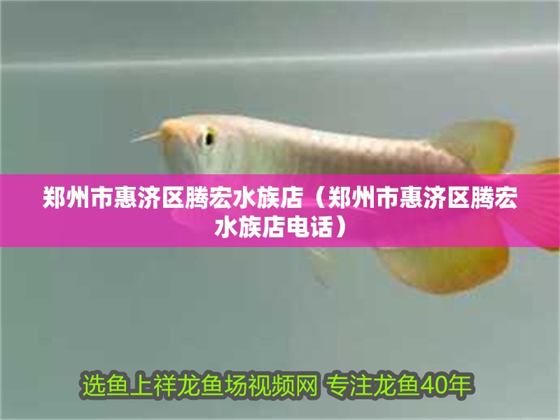 鄭州市惠濟區騰宏水族店（鄭州市惠濟區騰宏水族店電話）