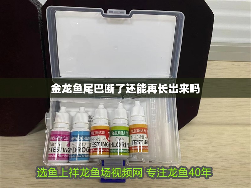 金龍魚尾巴斷了還能再長出來嗎