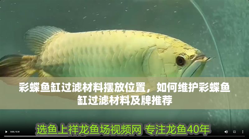 彩蝶魚(yú)缸過(guò)濾材料擺放位置，如何維護(hù)彩蝶魚(yú)缸過(guò)濾材料及牌推薦
