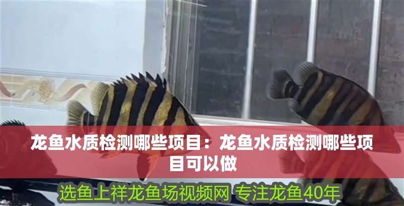 龍魚(yú)水質(zhì)檢測(cè)哪些項(xiàng)目：龍魚(yú)水質(zhì)檢測(cè)哪些項(xiàng)目可以做