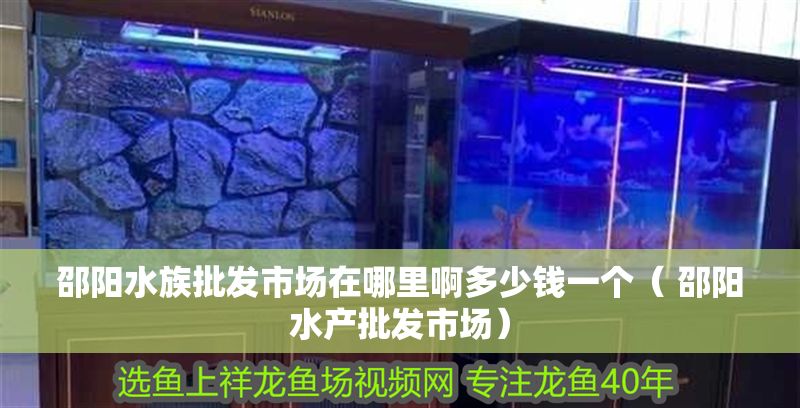 邵陽水族批發市場在哪里啊多少錢一個（ 邵陽水產批發市場）