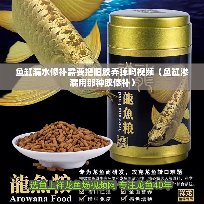 魚缸漏水修補(bǔ)需要把舊膠弄掉嗎視頻（魚缸滲漏用那種膠修補(bǔ)）