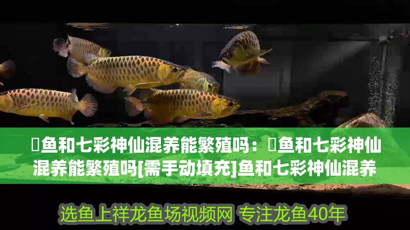 魟魚和七彩神仙混養能繁殖嗎：魟魚和七彩神仙混養能繁殖嗎[需手動填充]魚和七彩神仙混養能繁殖嗎