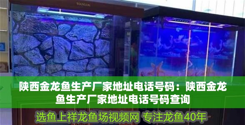 陜西金龍魚生產廠家地址電話號碼：陜西金龍魚生產廠家地址電話號碼查詢