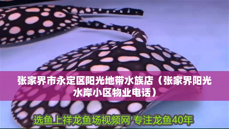 張家界市永定區陽光地帶水族店（張家界陽光水岸小區物業電話）