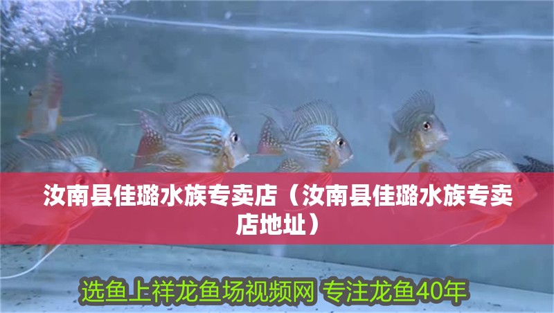 汝南縣佳璐水族專賣店（汝南縣佳璐水族專賣店地址）