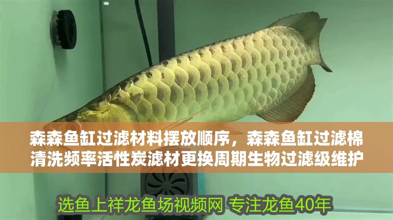 森森魚缸過濾材料擺放順序，森森魚缸過濾棉清洗頻率活性炭濾材更換周期生物過濾級維護技巧