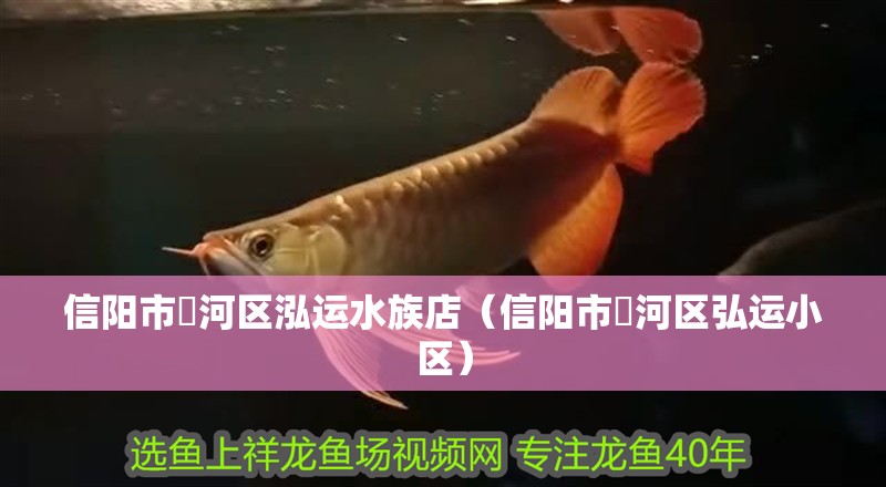 信陽市浉河區(qū)泓運(yùn)水族店（信陽市浉河區(qū)弘運(yùn)小區(qū)）