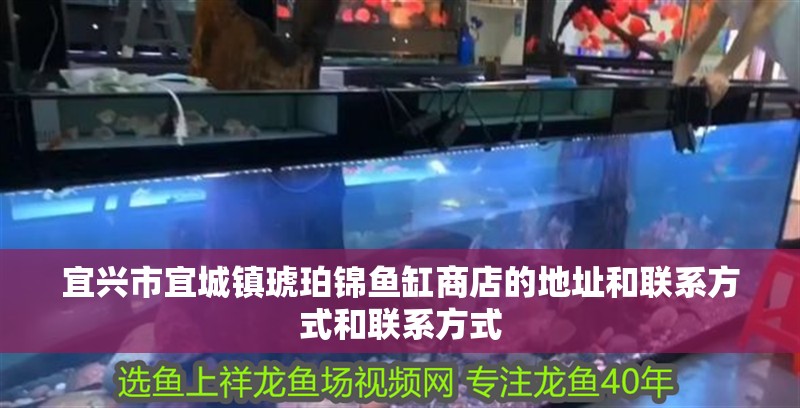 宜興市宜城鎮琥珀錦魚缸商店的地址和聯系方式和聯系方式 宜興市宜城鎮琥珀錦魚缸商店的地址和聯系方式和聯系方式 全國水族館企業名錄