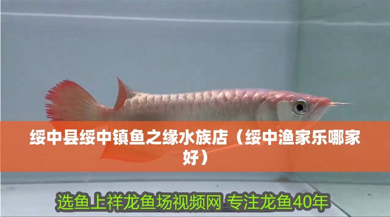 綏中縣綏中鎮(zhèn)魚之緣水族店（綏中漁家樂哪家好）