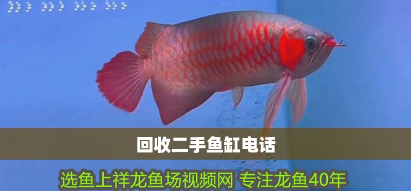 回收二手魚缸電話