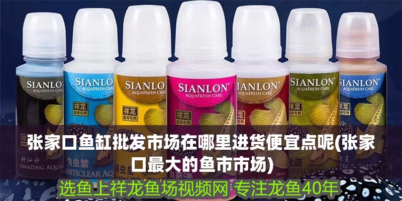 張家口魚缸批發(fā)市場在哪里進(jìn)貨便宜點(diǎn)呢(張家口最大的魚市市場)