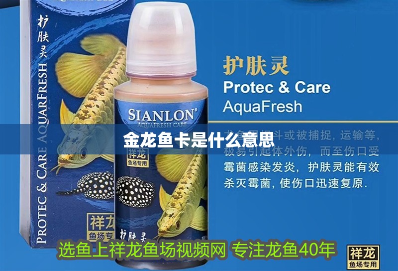金龍魚(yú)卡是什么意思
