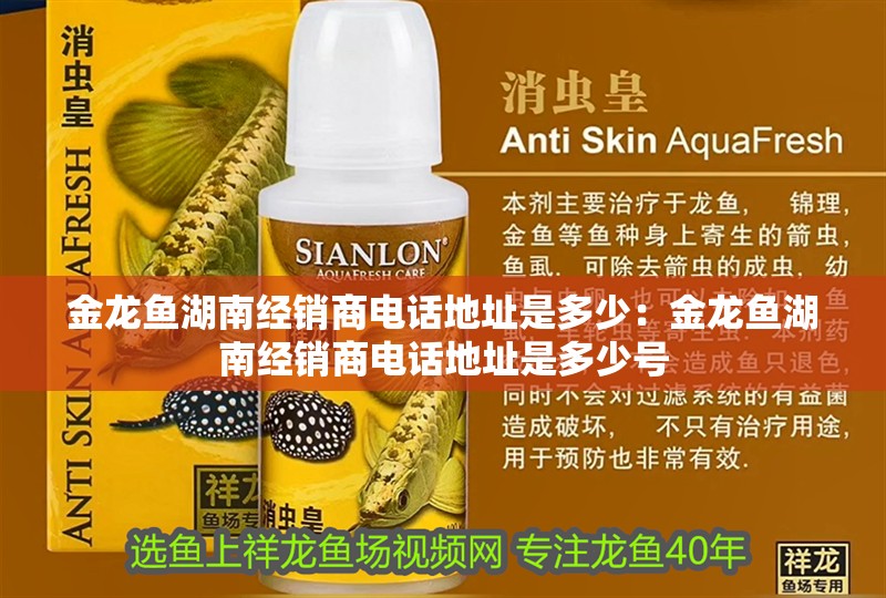 金龍魚湖南經(jīng)銷商電話地址是多少：金龍魚湖南經(jīng)銷商電話地址是多少號(hào)