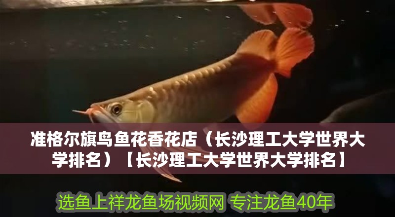 準格爾旗鳥魚花香花店（長沙理工大學世界大學排名）【長沙理工大學世界大學排名】