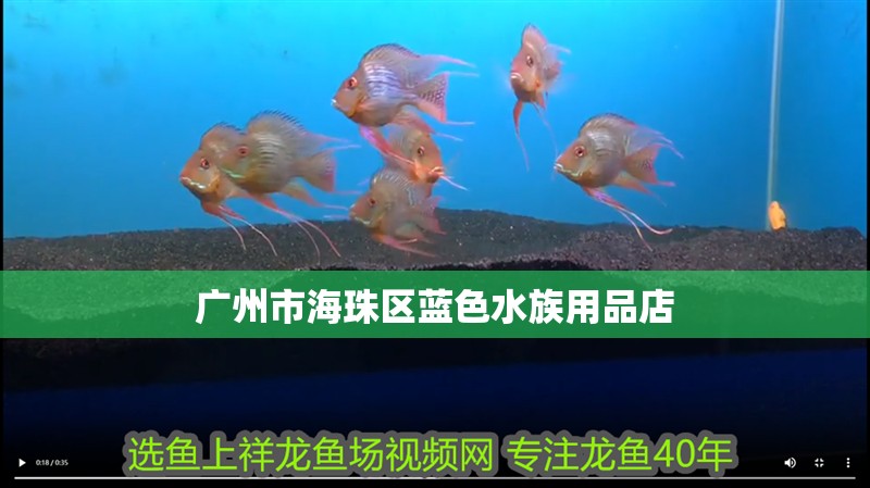廣州市海珠區(qū)藍(lán)色水族用品店 廣州市海珠區(qū)藍(lán)色水族用品店 全國(guó)水族館企業(yè)名錄 第2張